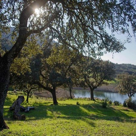 Finca La Vicacaria Limonero Zufre Eksteriør billede