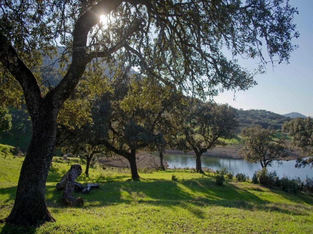 Finca La Vicacaria Limonero Zufre Eksteriør billede