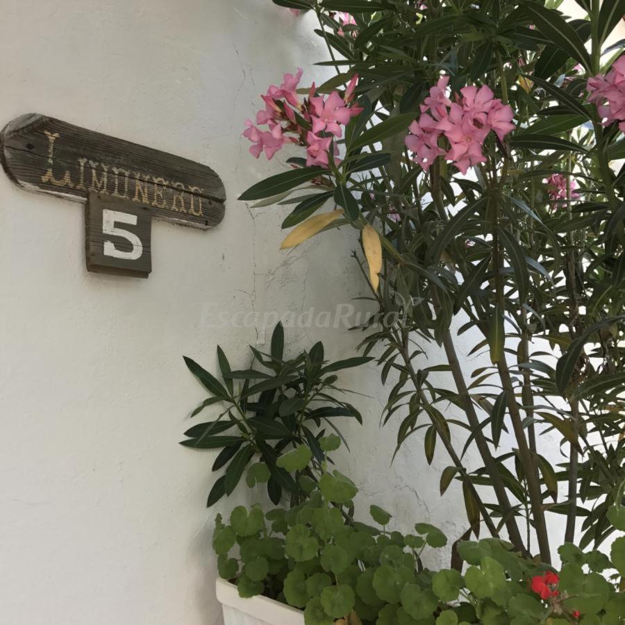 Finca La Vicacaria Limonero Zufre Eksteriør billede